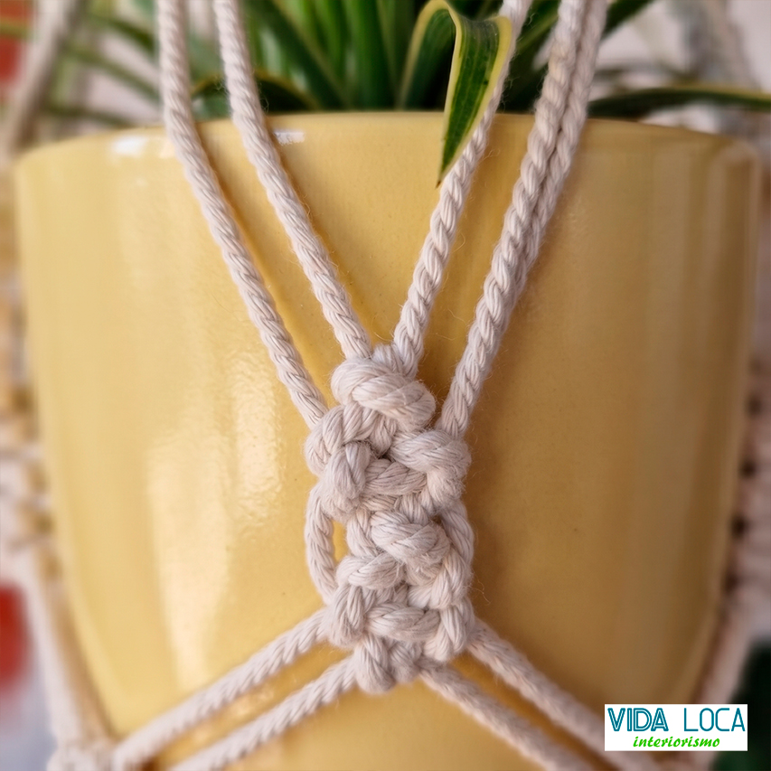 Macetero Colgante de Macramé "Raíces" - Imagen 4