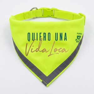 Bandana fluo perrito