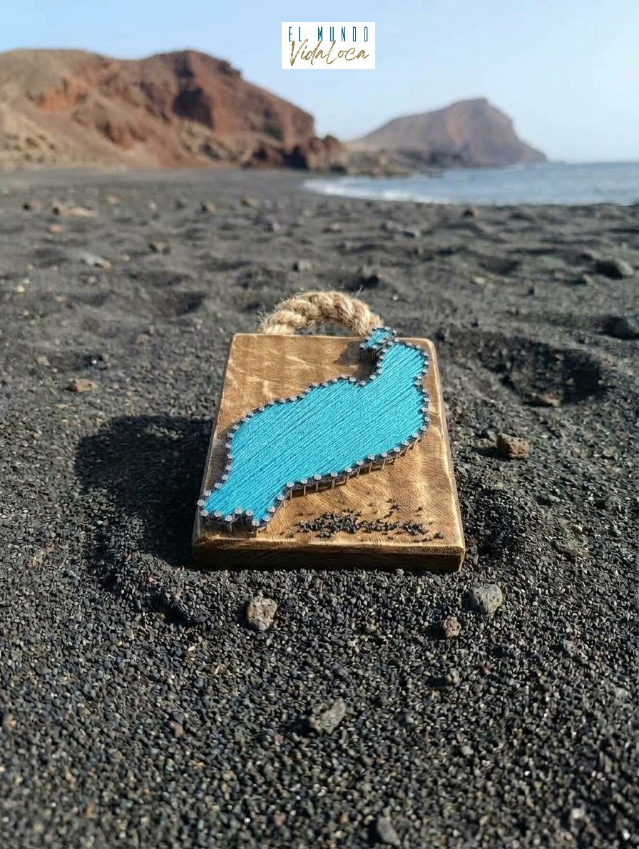 Cuadros madera, clavos y hilo "Lanzarote"